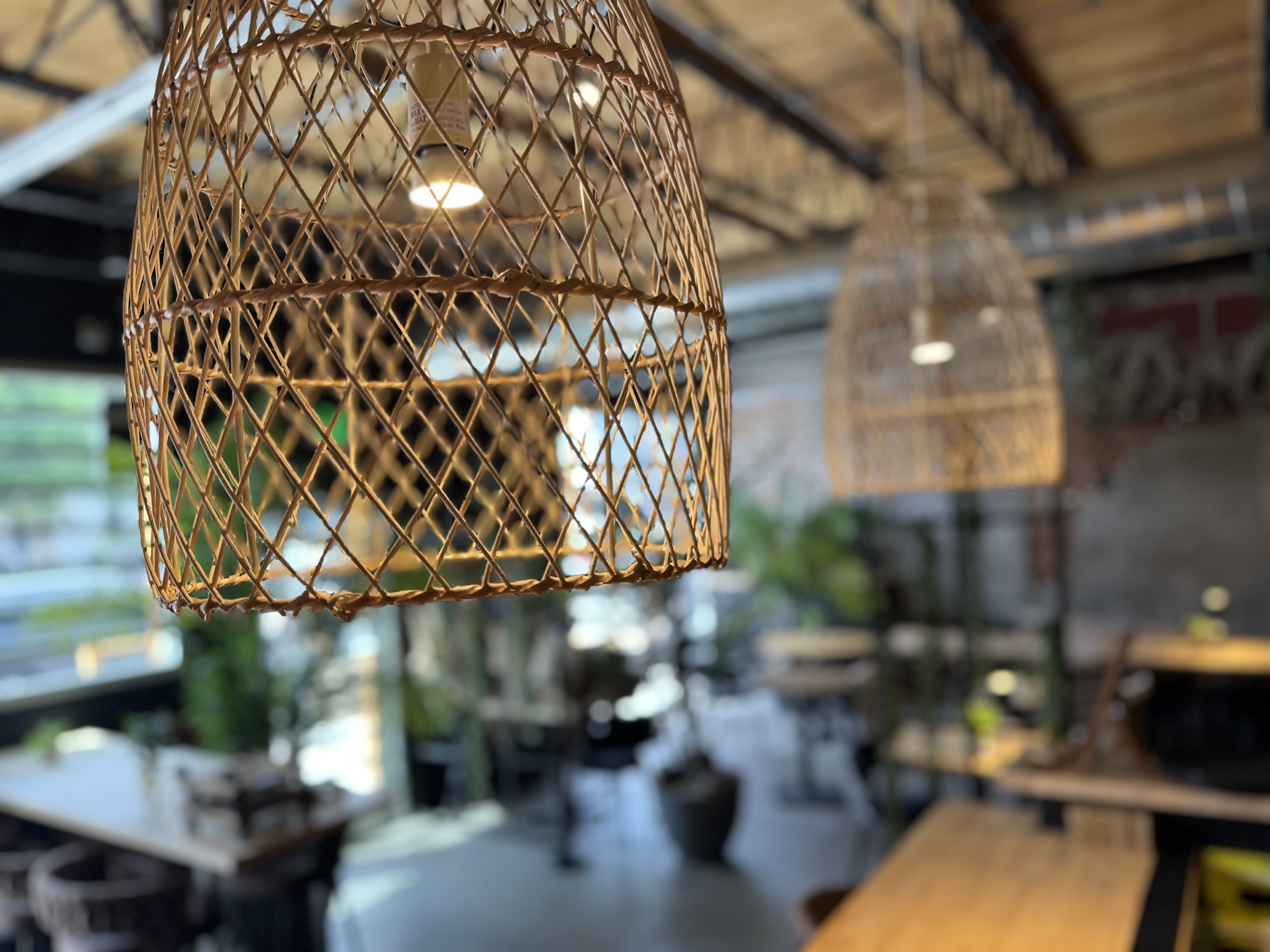 Social guests at bar